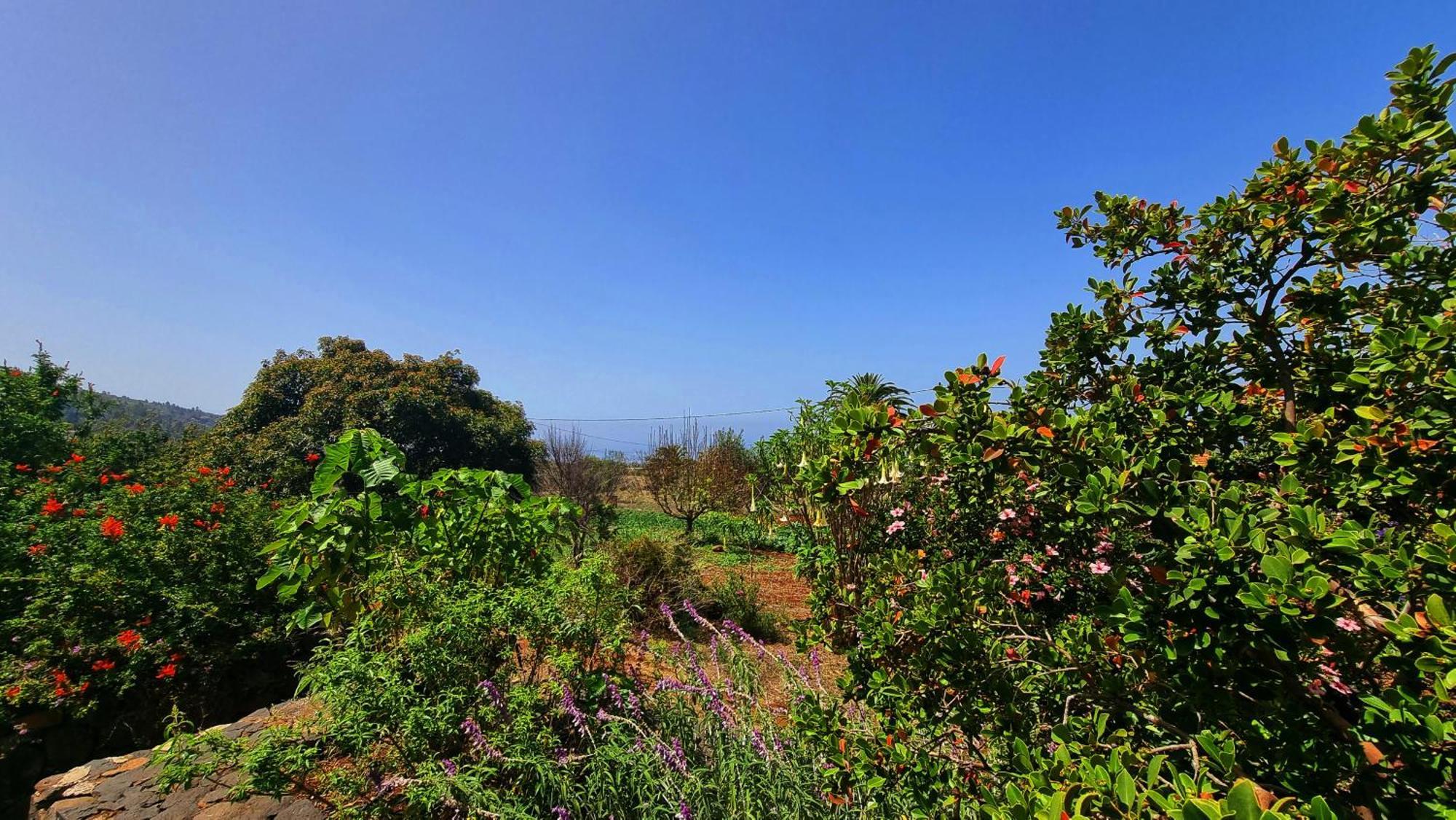 El Jocamo Villa Puntagorda Kültér fotó