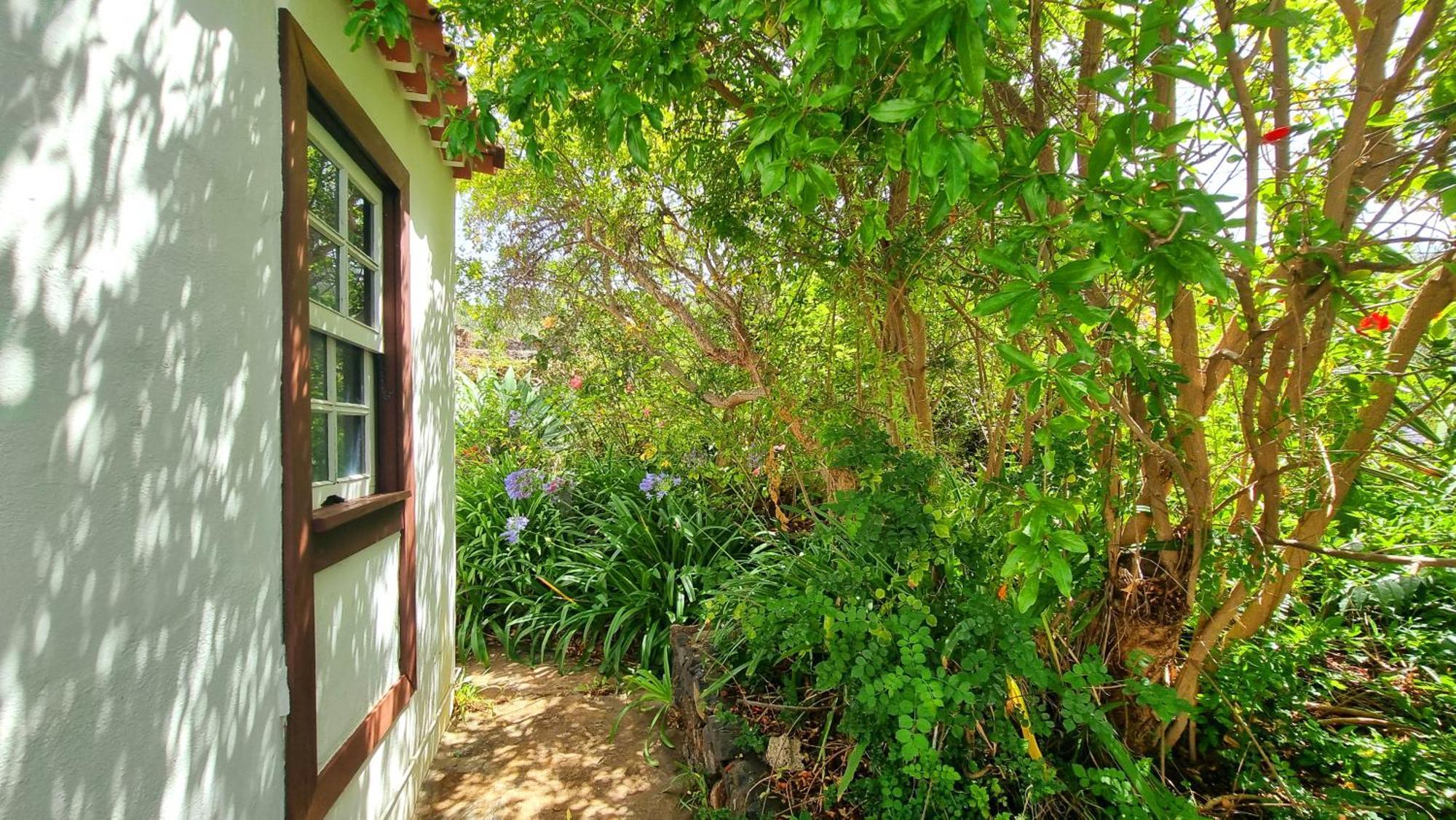 El Jocamo Villa Puntagorda Kültér fotó